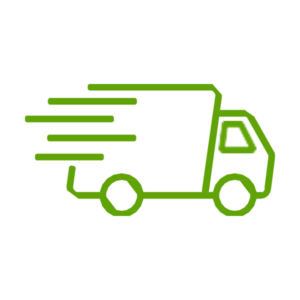 Lieferung Icon